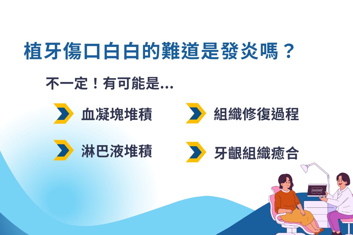 植牙傷口白白的可能是血凝塊或淋巴液堆積，或是正常的組織、牙齦修復過程